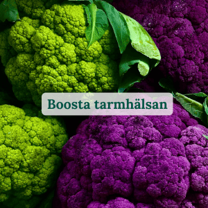 Boosta tarmhälsan onlinekurs