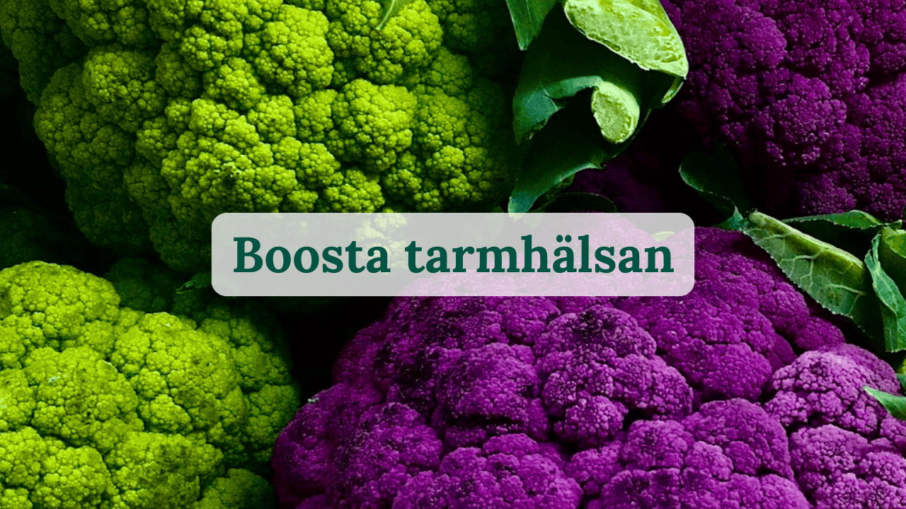 Boosta tarmhälsan
