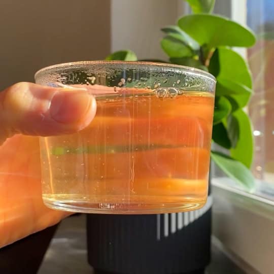 Örtdryck med rosmarin och oregano