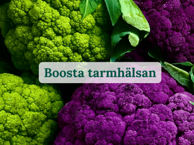 Boosta tarmhälsan onlinekurs